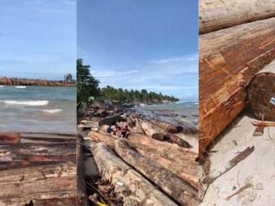 Kapal Sumbar Angkut 4.800 Kubik Kayu Terdampar Di Lampung