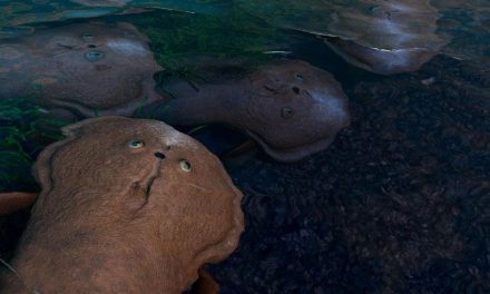 Fosil Ikan Arktik: Benarkah Ini Buyut Makhluk Berahang?