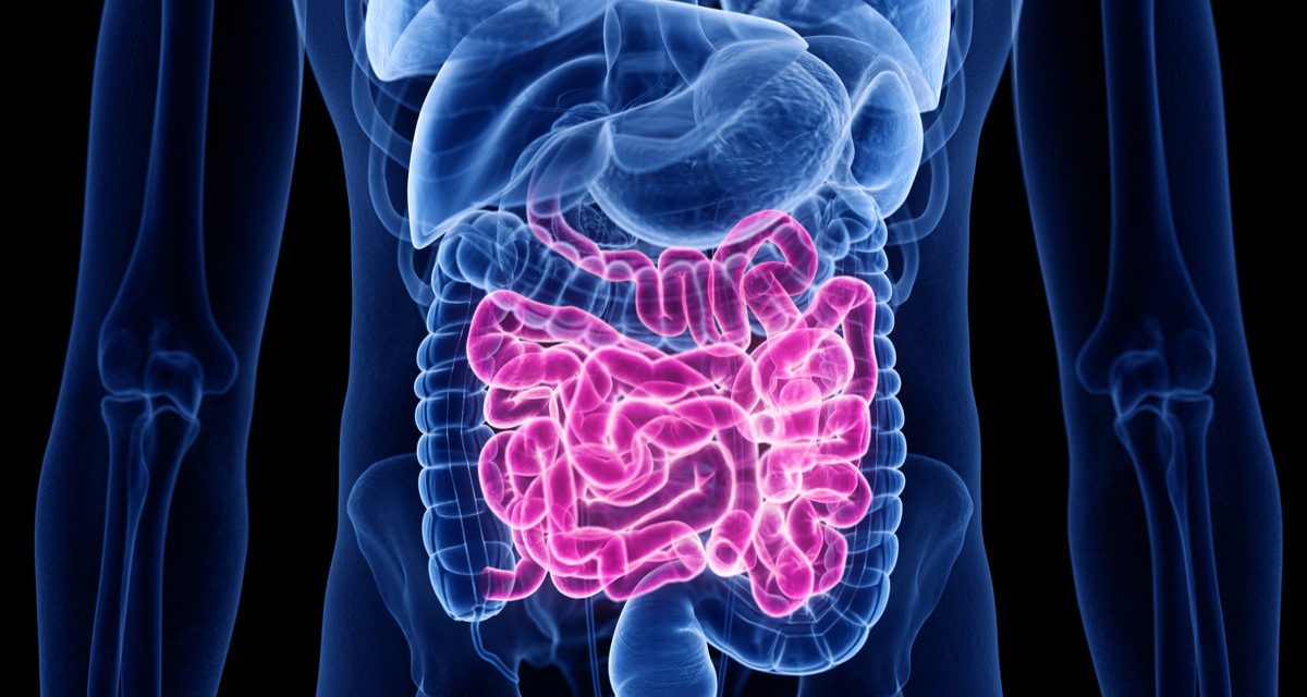 Rahasia Jantung & Usus Tetap Fit: Cukup Makan 7 Hal Ini