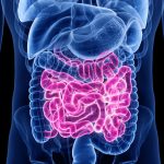 Rahasia Jantung & Usus Tetap Fit: Cukup Makan 7 Hal Ini