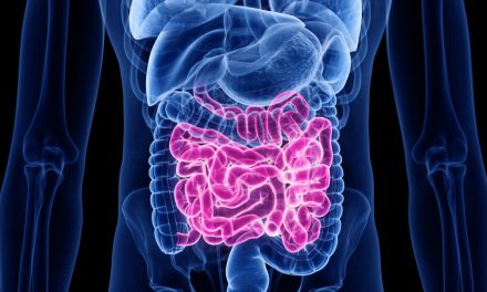 Rahasia Jantung & Usus Tetap Fit: Cukup Makan 7 Hal Ini