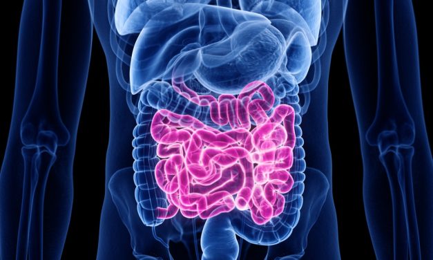Rahasia Jantung & Usus Tetap Fit: Cukup Makan 7 Hal Ini