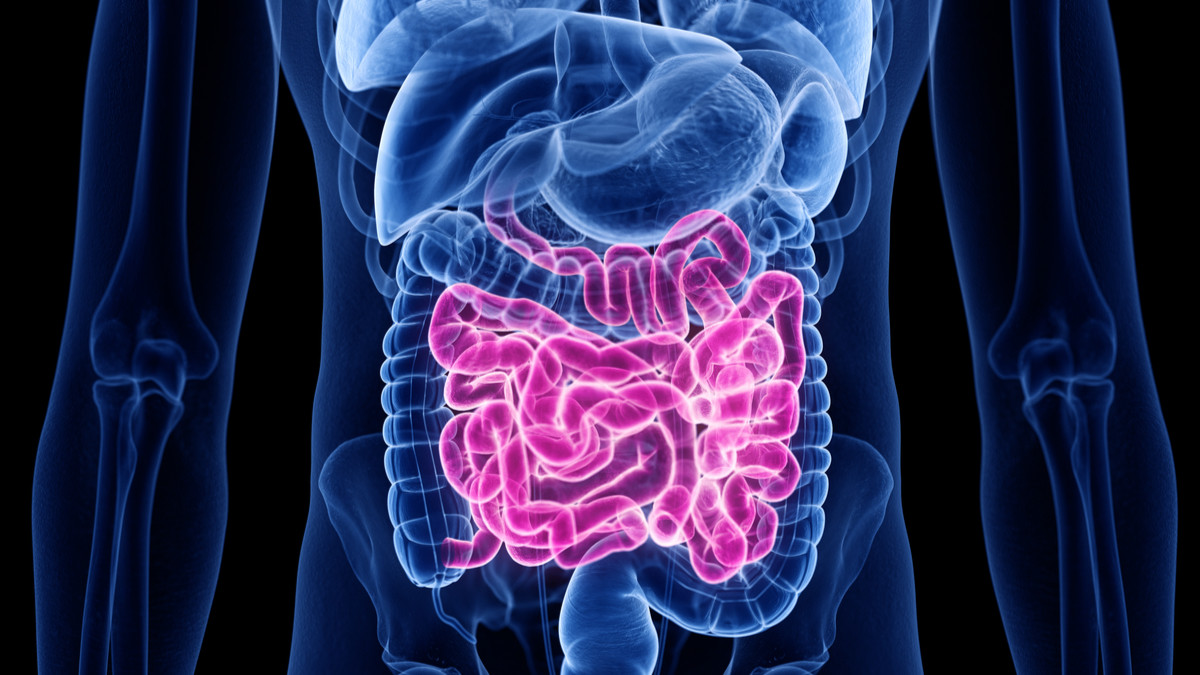 Rahasia Jantung & Usus Tetap Fit: Cukup Makan 7 Hal Ini