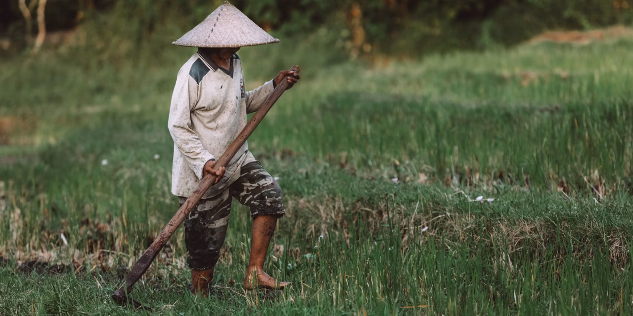Perlengkapan Petani Pacul Yang Paling Utama Di Pakai