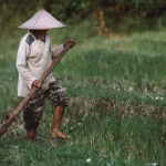 Perlengkapan Petani Pacul Yang Paling Utama Di Pakai
