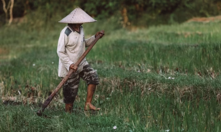 Perlengkapan Petani Pacul Yang Paling Utama Di Pakai