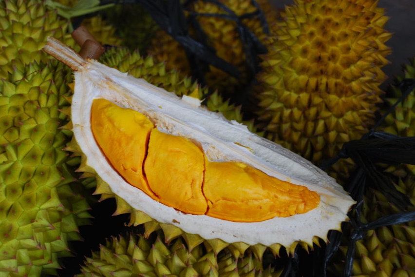 Bahaya Terlalu Banyak Makan Durian Bagi Kesehatan