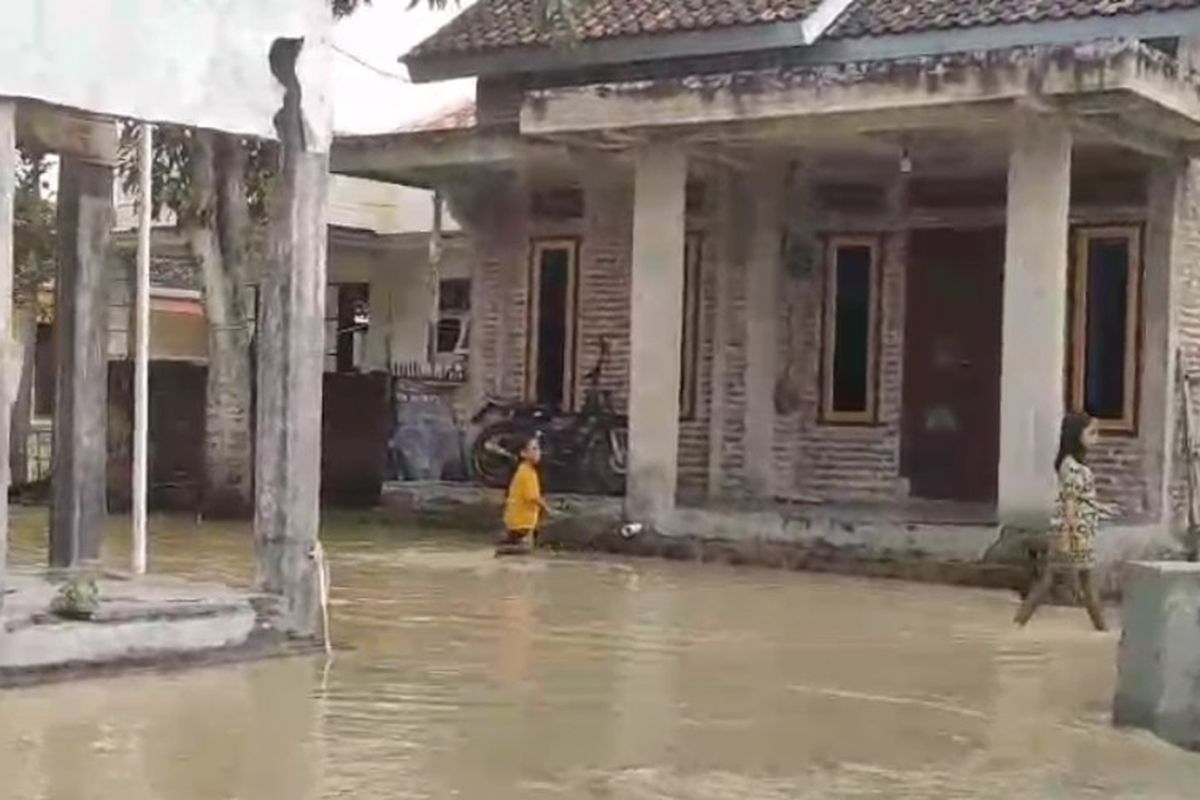Tanggul Jebol, 4 Desa Di Brebes Terendam!